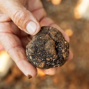 Черен трюфел (Tuber Melanosporum) (50g (1.7oz) / Екстра)