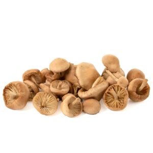Сушена полска печурка (150g)