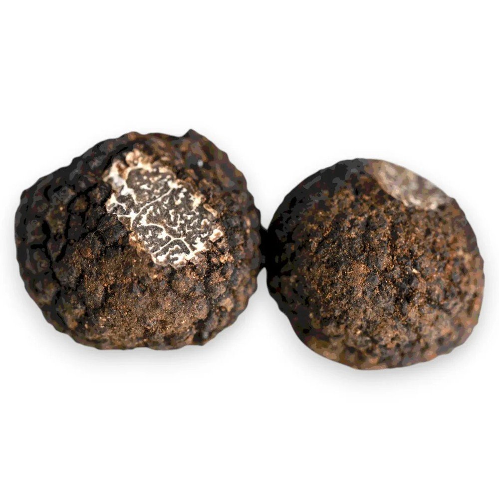 Пресен китайски черен трюфел – Tuber indicum (Клас B) (100 g)