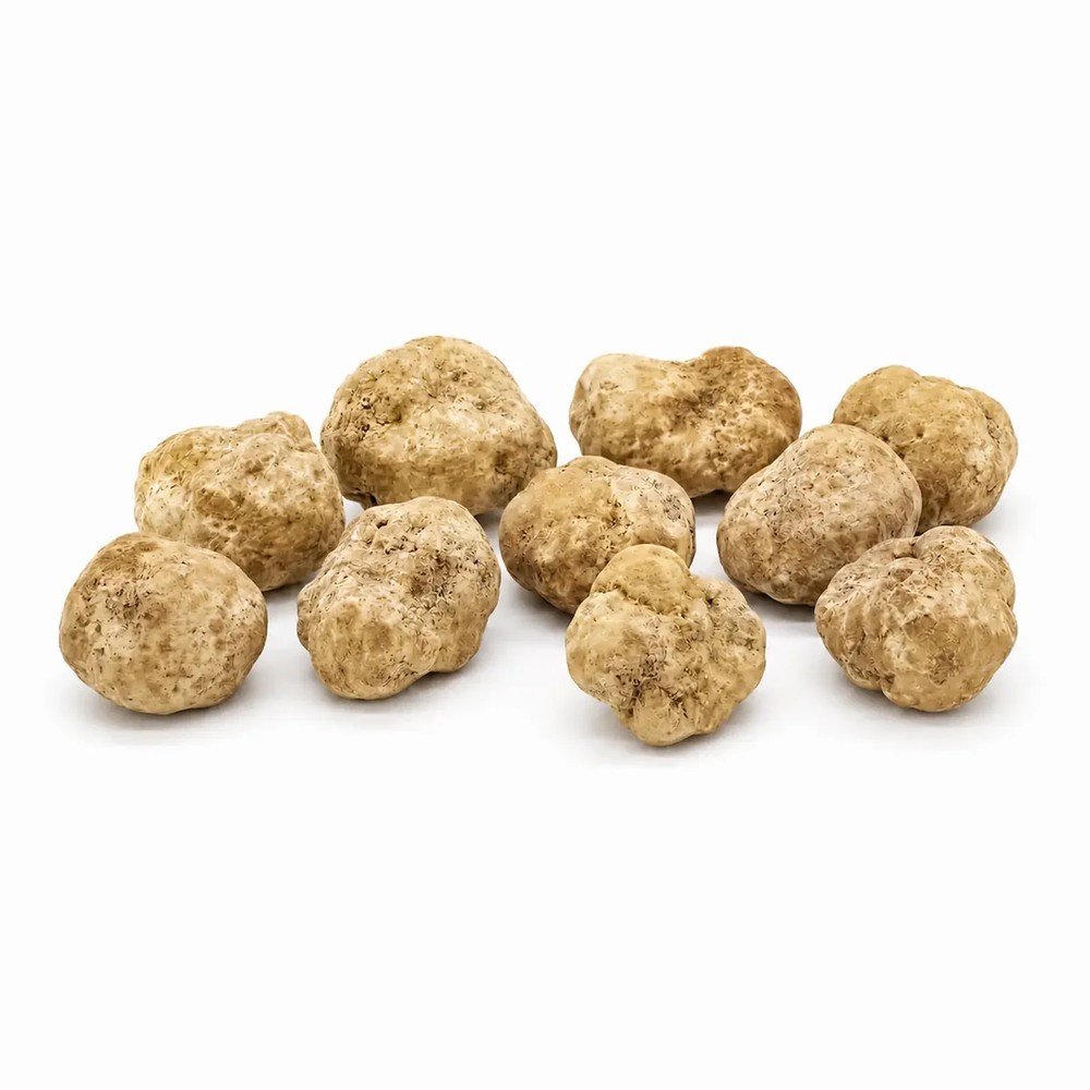 Пресен Tuber magnatum бял трюфел – Среден размер (500 g)