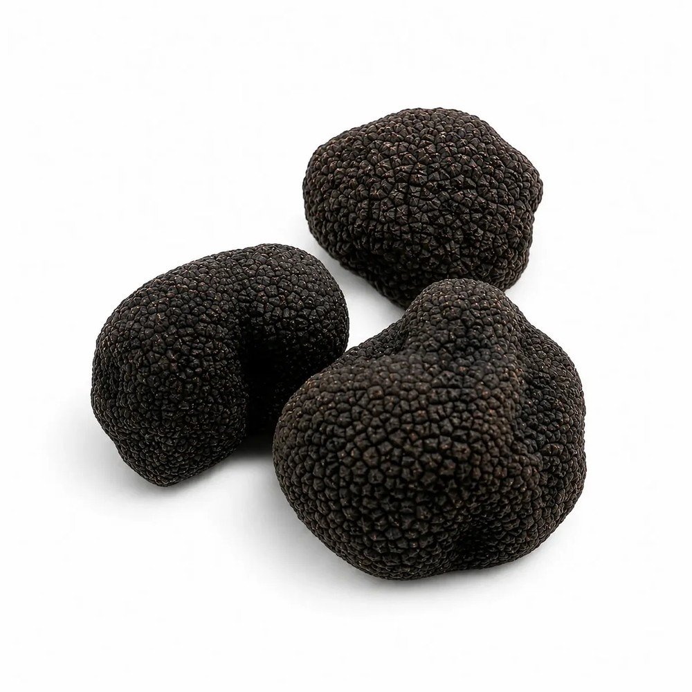 Пресен бургундски трюфел – Tuber uncinatum (Екстра Клас) (50 g)