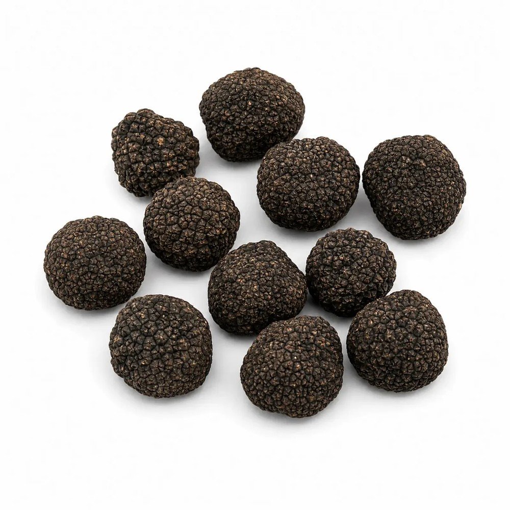 Пресен бургундски трюфел – Tuber uncinatum (Клас B) (1 kg)