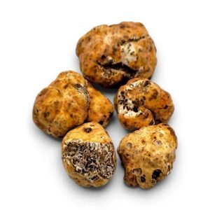 Пресен пролетен бял трюфел – Tuber borchii (Клас A) (200 g)