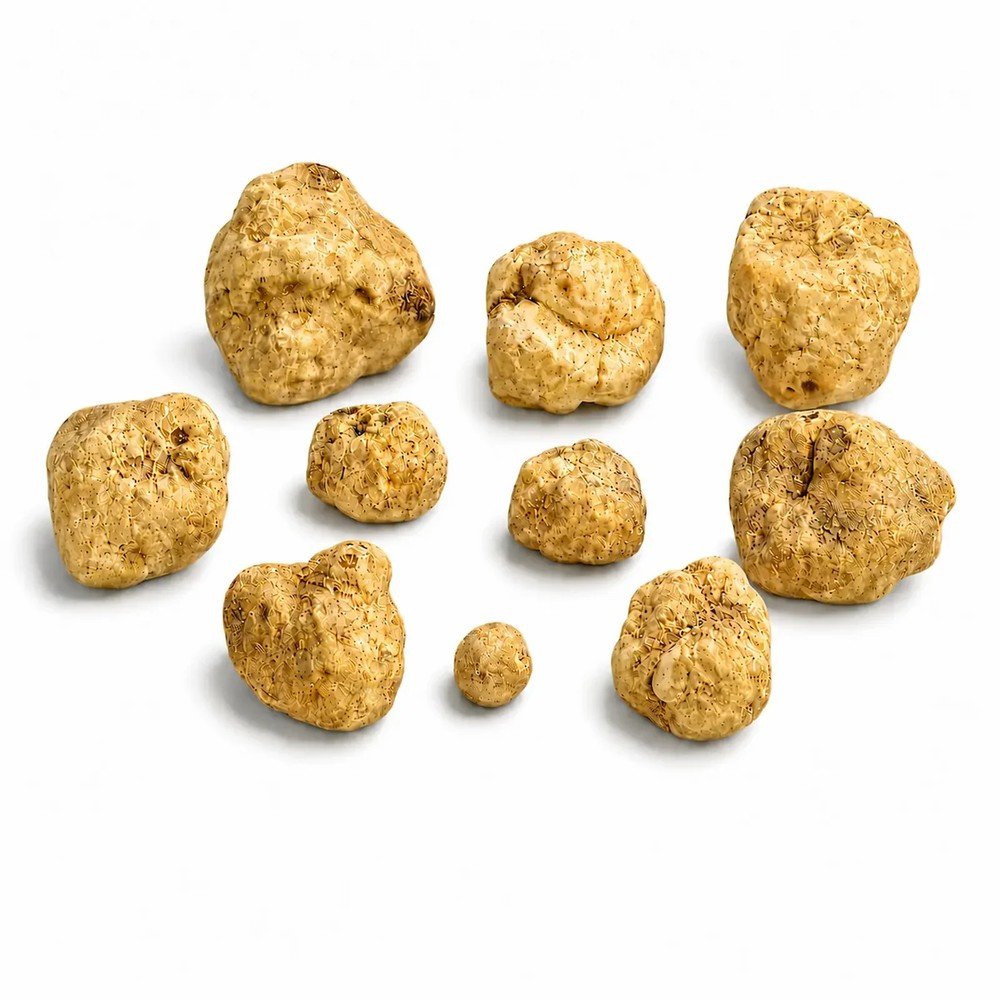 Пресен Tuber magnatum бял трюфел – Малък размер (1 kg)