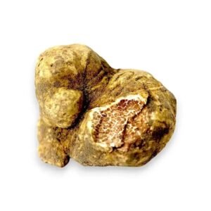 Пресен Tuber magnatum бял трюфел – Голям размер (100 g)