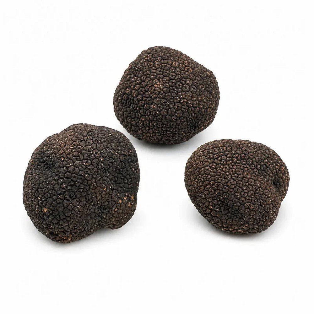 Пресен бургундски трюфел – Tuber uncinatum (Клас A) (1 kg)