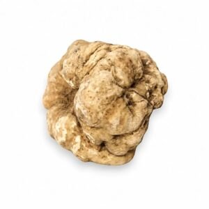 Пресен Tuber magnatum бял трюфел – Огромен размер (100 g)