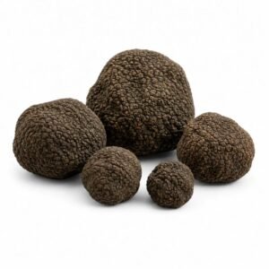 Пресен летен трюфел – Tuber aestivum (Екстра Клас) (100 g / 100–300 g)