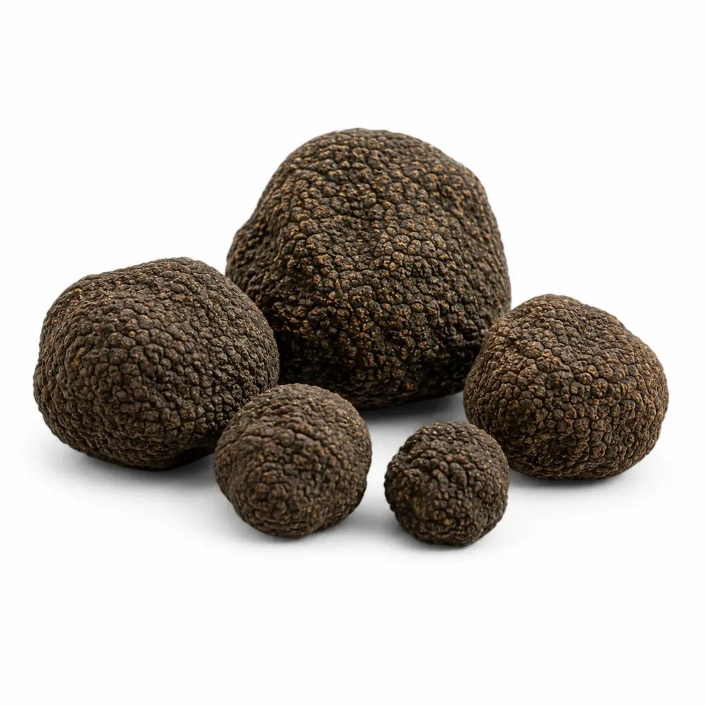 Пресен летен трюфел – Tuber aestivum (Екстра Клас) (100 g / 100–300 g)
